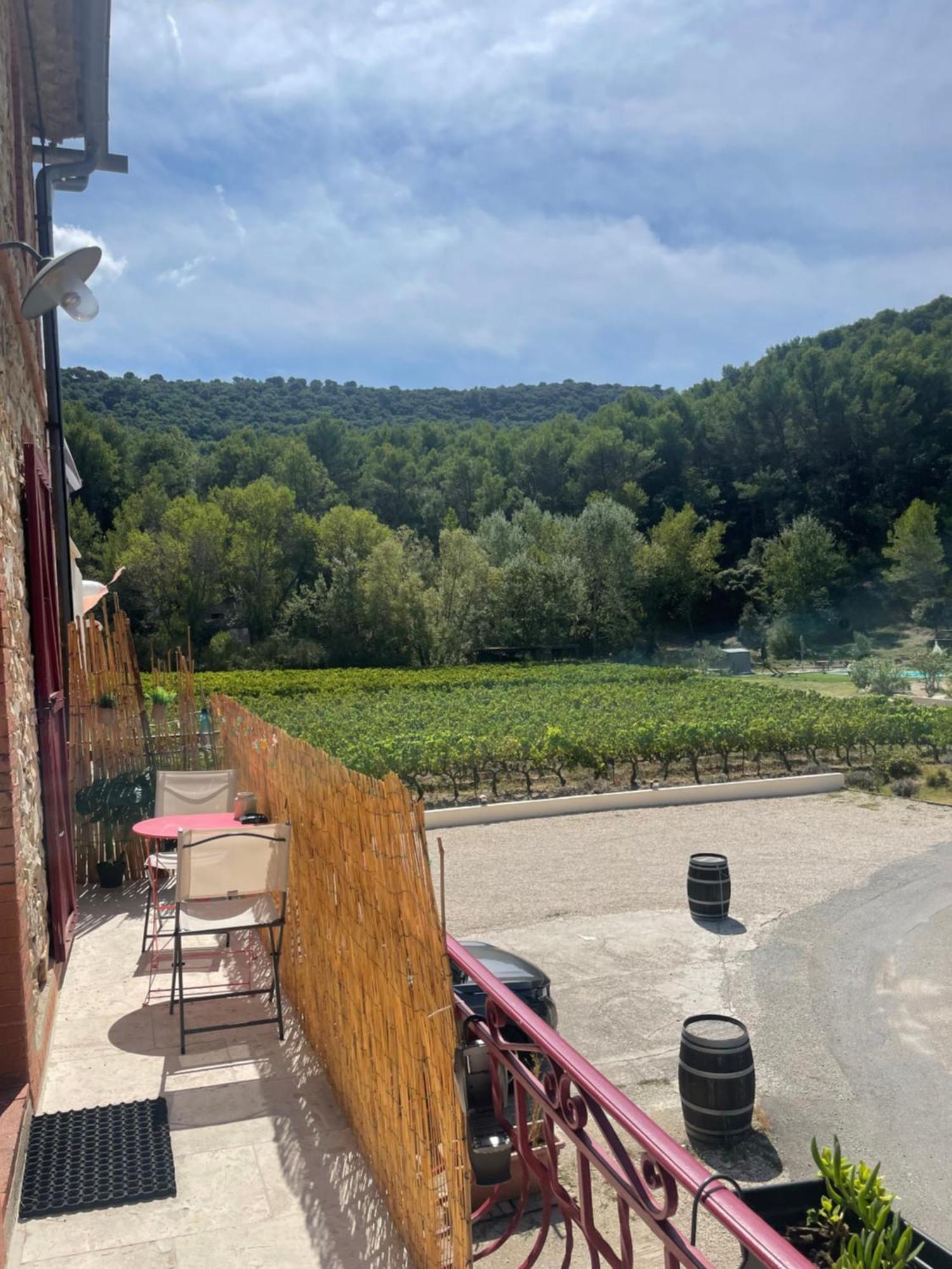 Appartement Au Calme Au Milieu Du Vignoble De Gigondas Zewnętrze zdjęcie